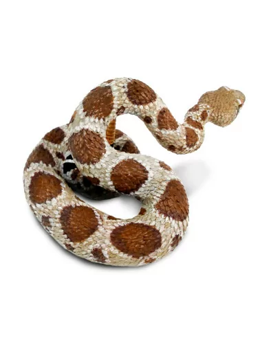 Chřestýš západní