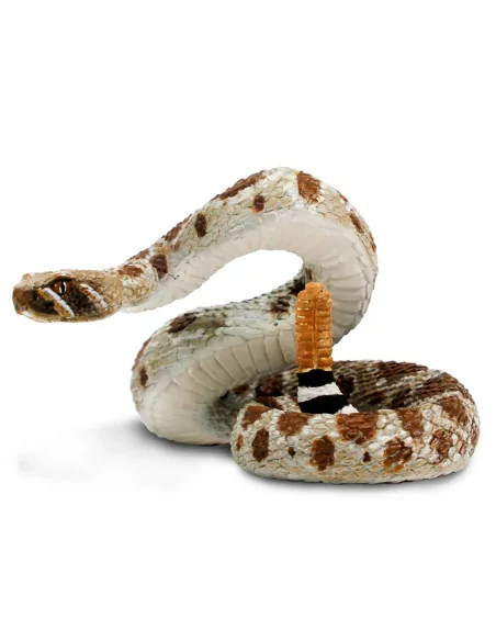 Chřestýš západní