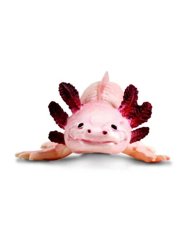 Axolotl