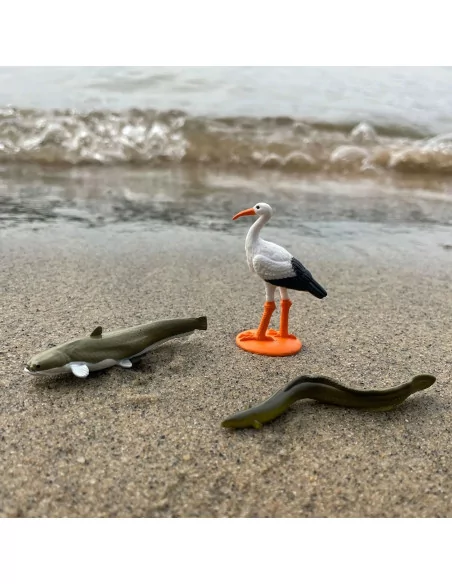 Tuba - Zvířata Evropa