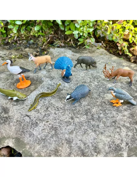 Tuba - Zvířata Evropa