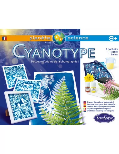 Kyanotypie - vyvolávání obrázků