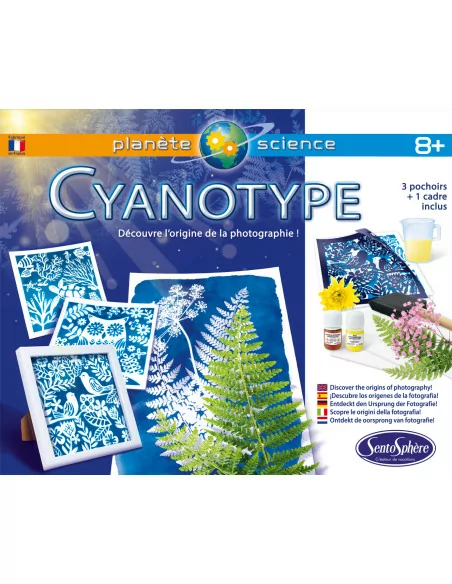 Kyanotypie - vyvolávání obrázků