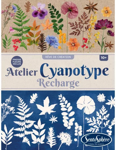 Kyanotypie - Mini set