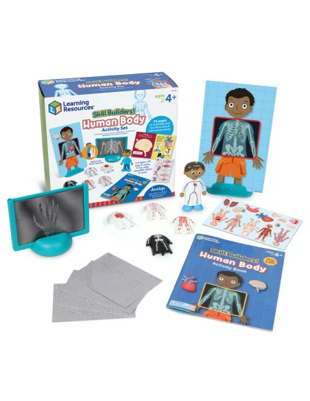 Zestaw aktywności - Ciało ludzkie