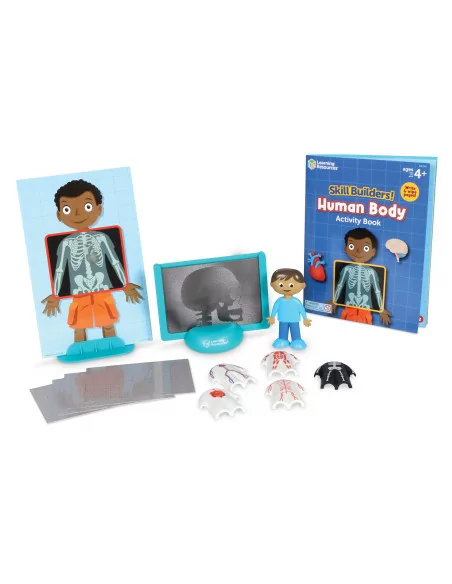 Zestaw aktywności - Ciało ludzkie