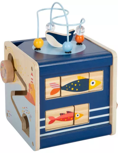 Motorická kostka Oceán