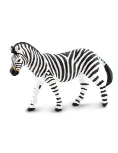 Zebra stepní