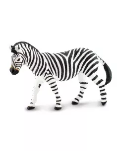 Zebra stepní
