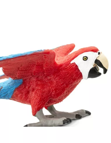 Ara zielonoskrzydła