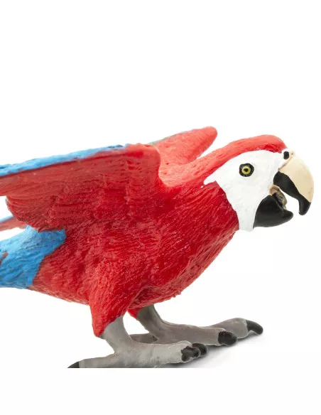 Ara zielonoskrzydła