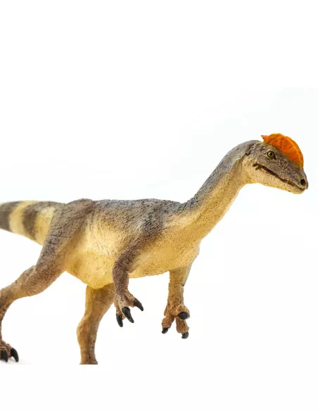 Dilophosaurus