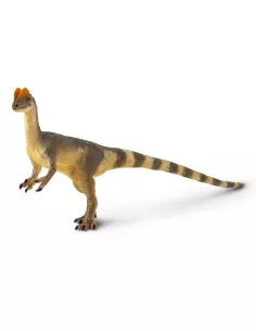 Dilophosaurus