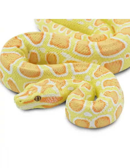 Barmská krajta- albín