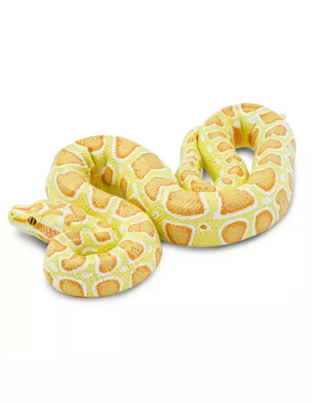 Barmská krajta- albín