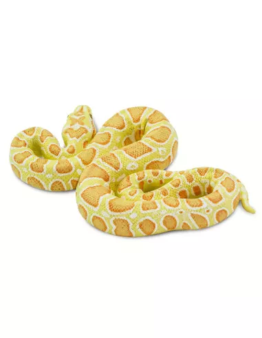 Barmská krajta- albín