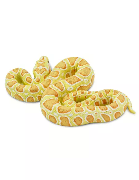 Barmská krajta- albín