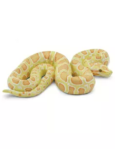 Barmská krajta- albín