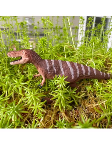 Nanotyrannus