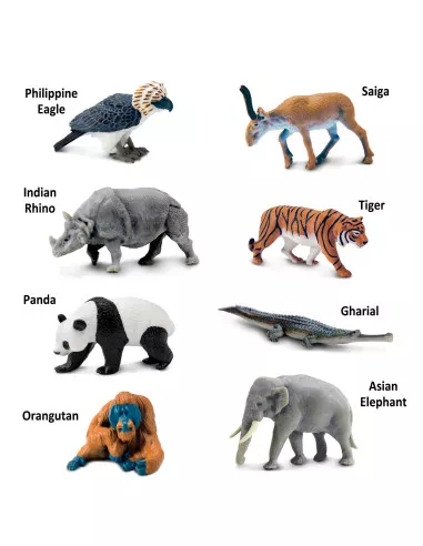 Tuba - Asijská zvířata