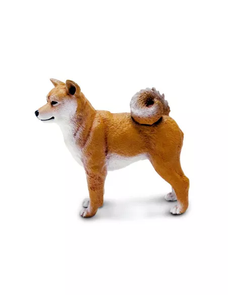 Shiba Inu