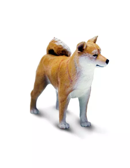 Shiba Inu