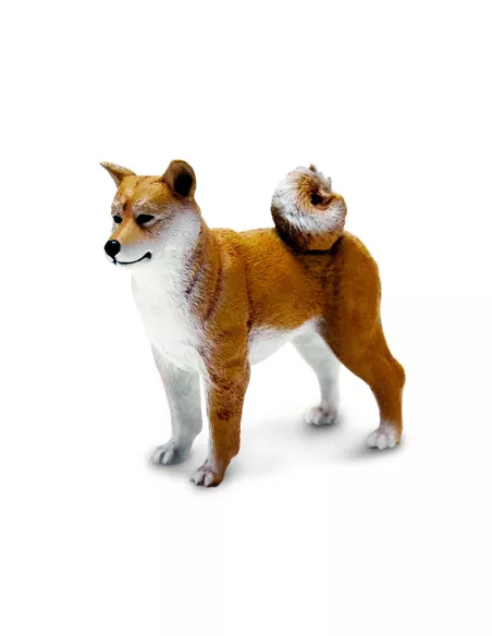 Shiba Inu