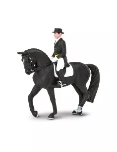 Holštýnský kůň s jezdcem