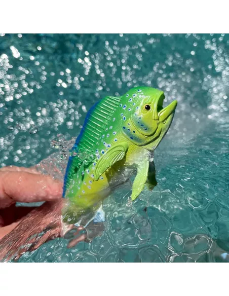 Mahi-Mahi