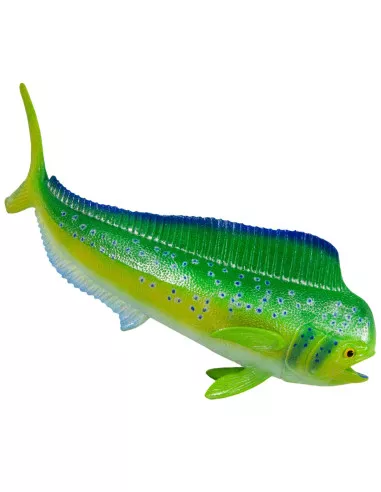 Mahi-Mahi