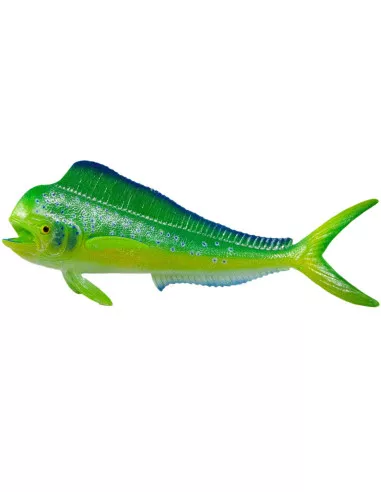 Mahi-Mahi
