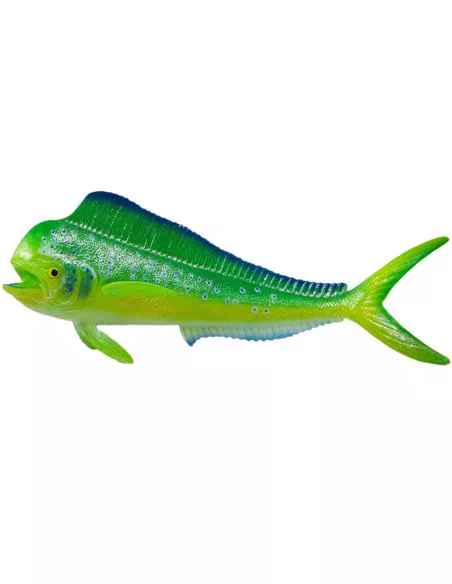 Mahi-Mahi