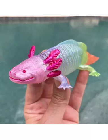 Duhový Axolotl
