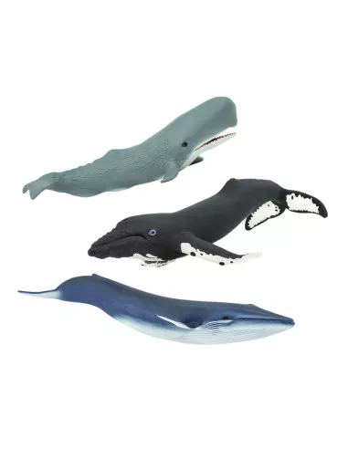 Giganci oceanów (3 szt)