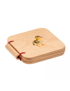 Nienhuis - Moje první...