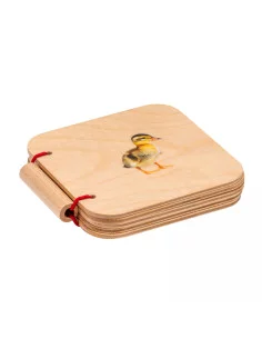 Nienhuis - Moje první...