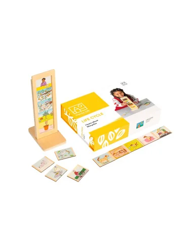 Toys for life - Životní cykly