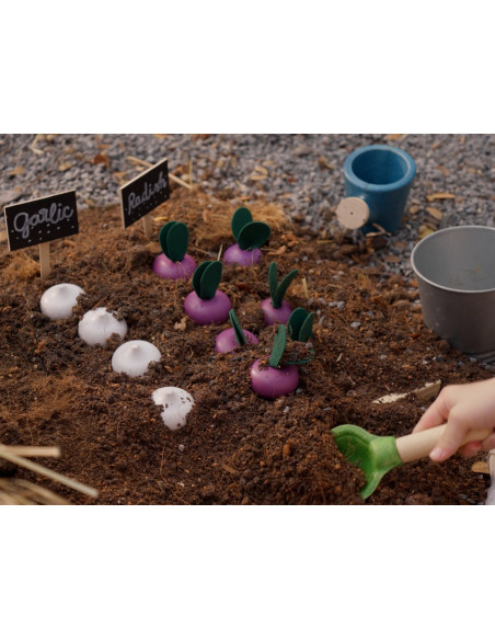 Sada čerstvé zeleniny, sada C