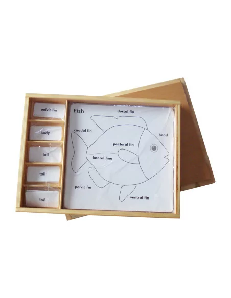 Zestaw działań do Puzzle zoologiczne (ANJ)